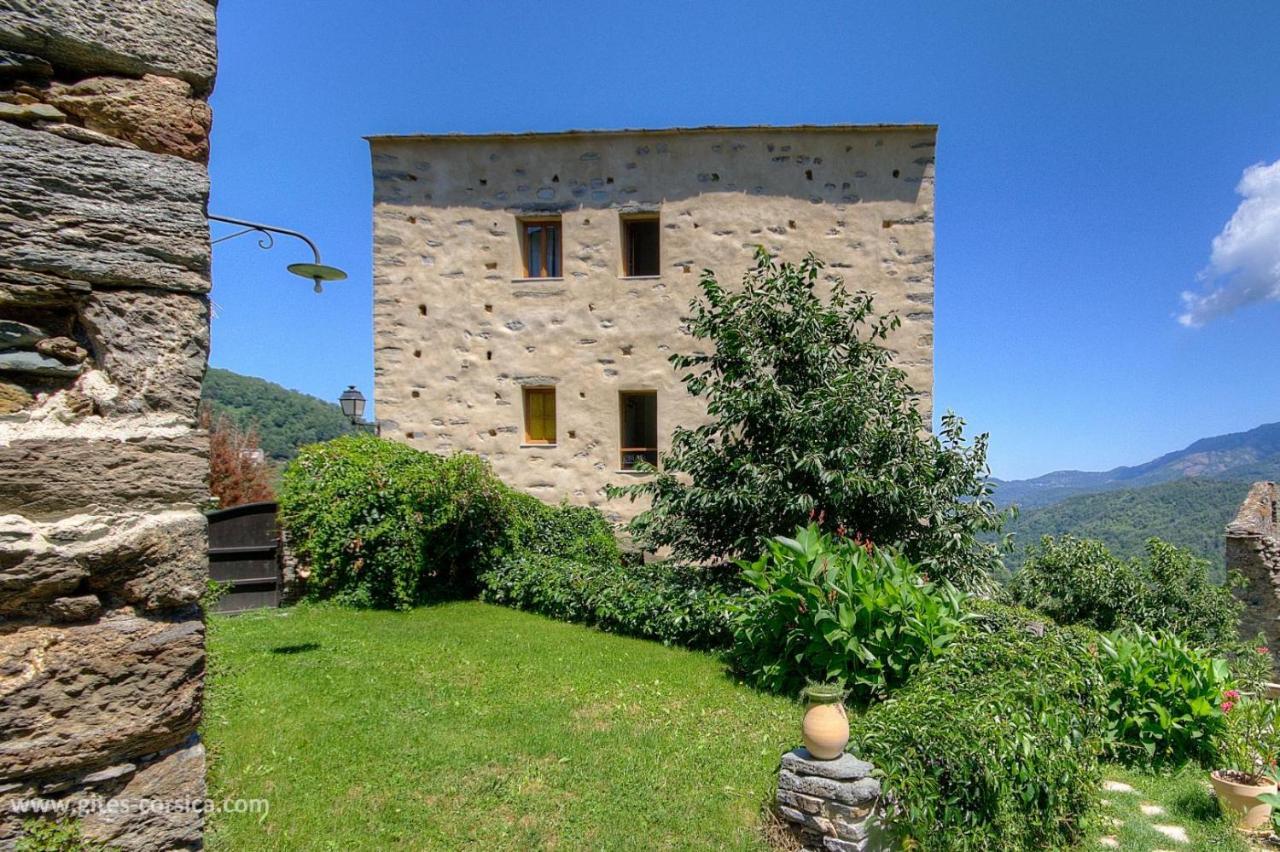 Castellu D'Orezza Carcheto Luaran gambar